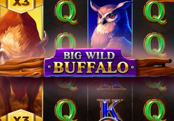 Игровой автомат Big Wild Buffalo в казино МелБет